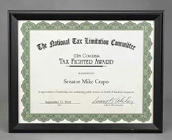 Tax Fighter Award