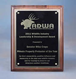 Leadership & Development Award