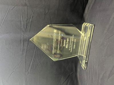 CDFI Congressional Champion Award