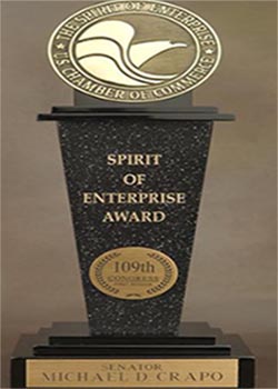 Spirit of Enterprise Award