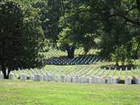 Arlington Cemetary